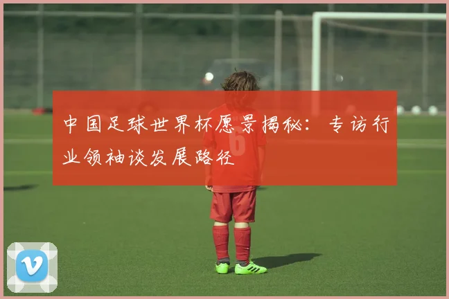 中国足球世界杯愿景揭秘:专访行业领袖谈发展路径