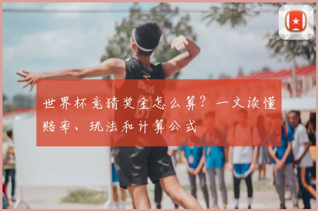 世界杯竞猜奖金怎么算？一文读懂赔率、玩法和计算公式