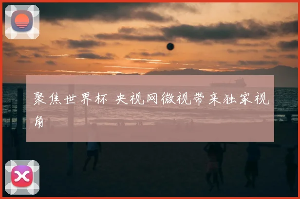 聚焦世界杯 央视网微视带来独家视角