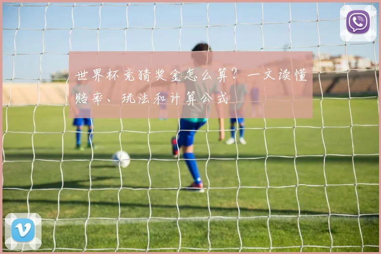 世界杯竞猜奖金怎么算？一文读懂赔率、玩法和计算公式