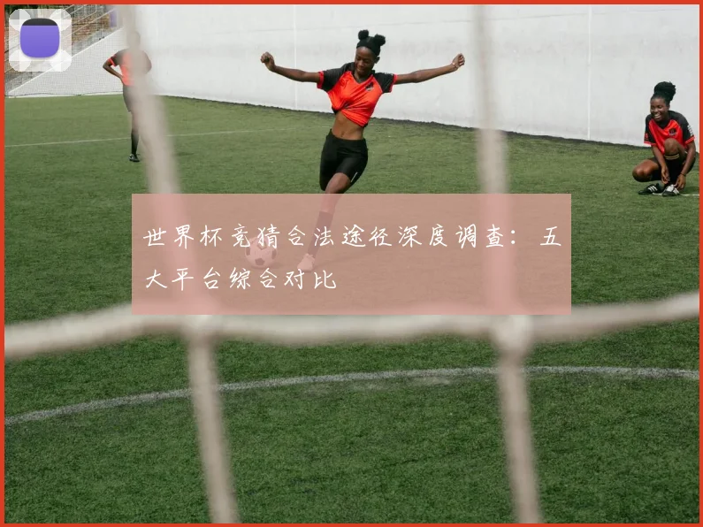 世界杯竞猜合法途径深度调查:五大平台综合对比