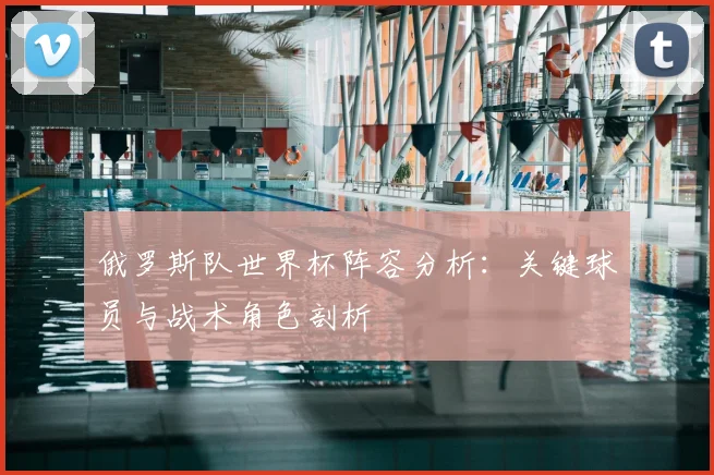 俄罗斯队世界杯阵容分析：关键球员与战术角色剖析