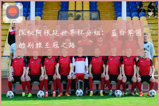 探秘阿根廷世界杯分组：蓝白军团的荆棘王冠之路