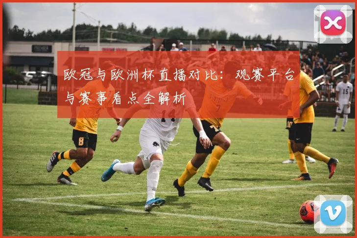欧冠与欧洲杯直播对比：观赛平台与赛事看点全解析