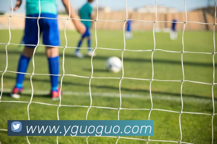 九游体育app官网下载平台平台生态图